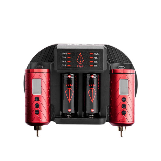 Charging Dock + Forge Reloadable Battery Packs Bundle