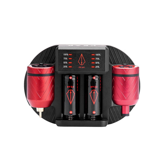 Charging Dock + Forge-C Battery Packs Bundle