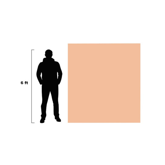 6.6’ x 5.9’ x 3mm Fitzpatrick Skin Tone 2 Huge Canvas 6.6’ x 5.9’ x 3mm Fitzpatrick Skin Tone 2 Huge Canvas