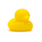 Lucky Ducky – Pick Size