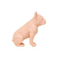 A Pound of Flesh Tattooable French BulldogA Pound of Flesh Tattooable French Bulldog