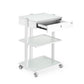 Fellowship Locking Cabinet for Rolling Cart — WhiteFellowship Locking Cabinet for Rolling Cart — White