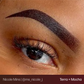 Mocha Brow Evenflo PigmentMocha Brow Evenflo Pigment