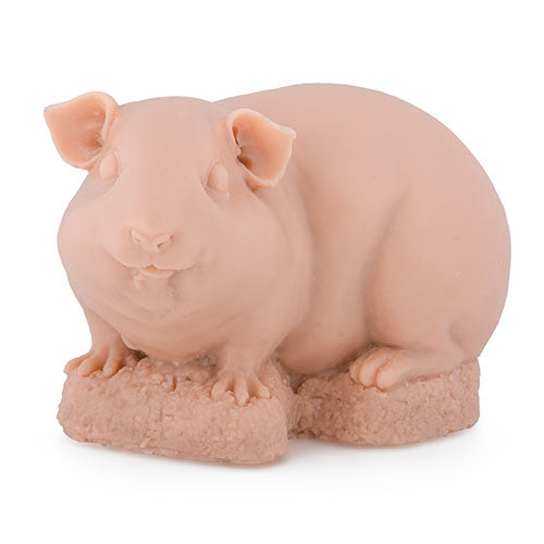 Guinea Pig Guinea Pig