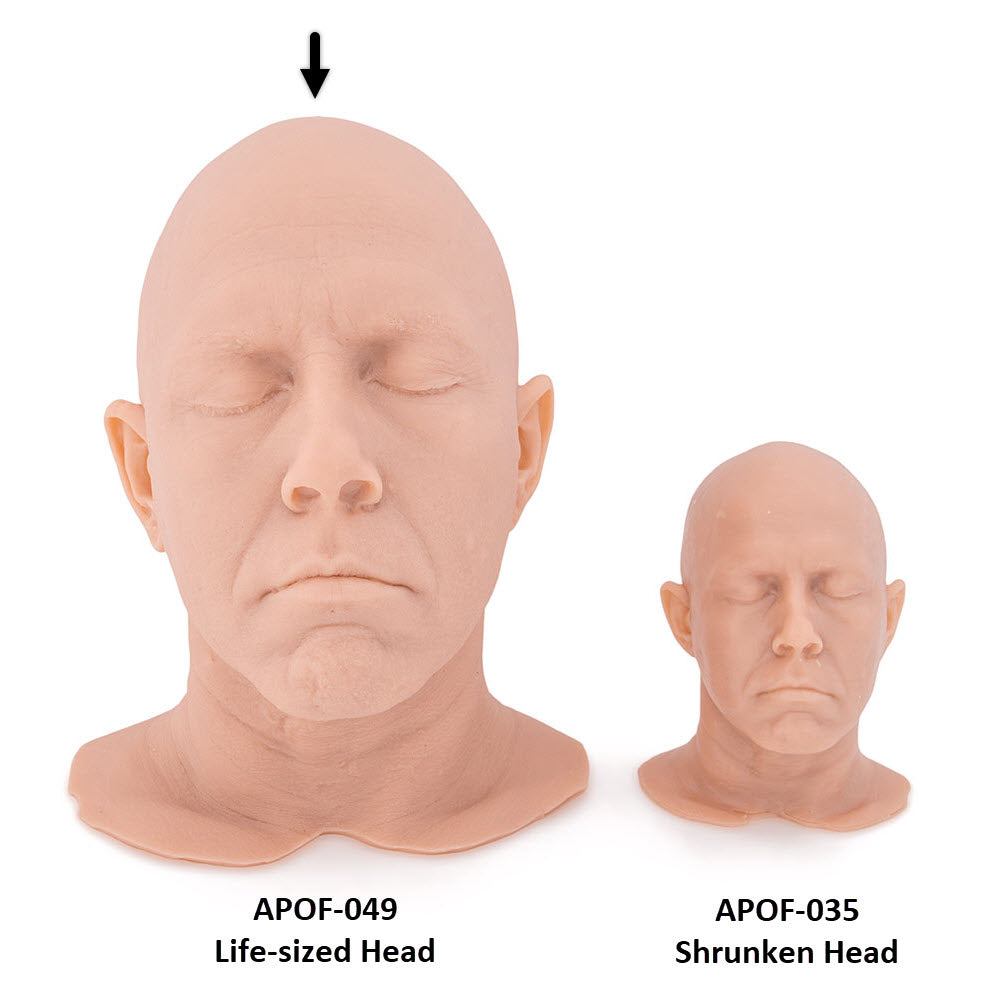 Idol Series Jesse Smith Head