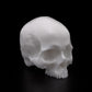 Yorick Skull — Pick Color