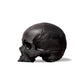 Yorick Skull — Pick Color