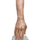 APOF Arm Display Stand