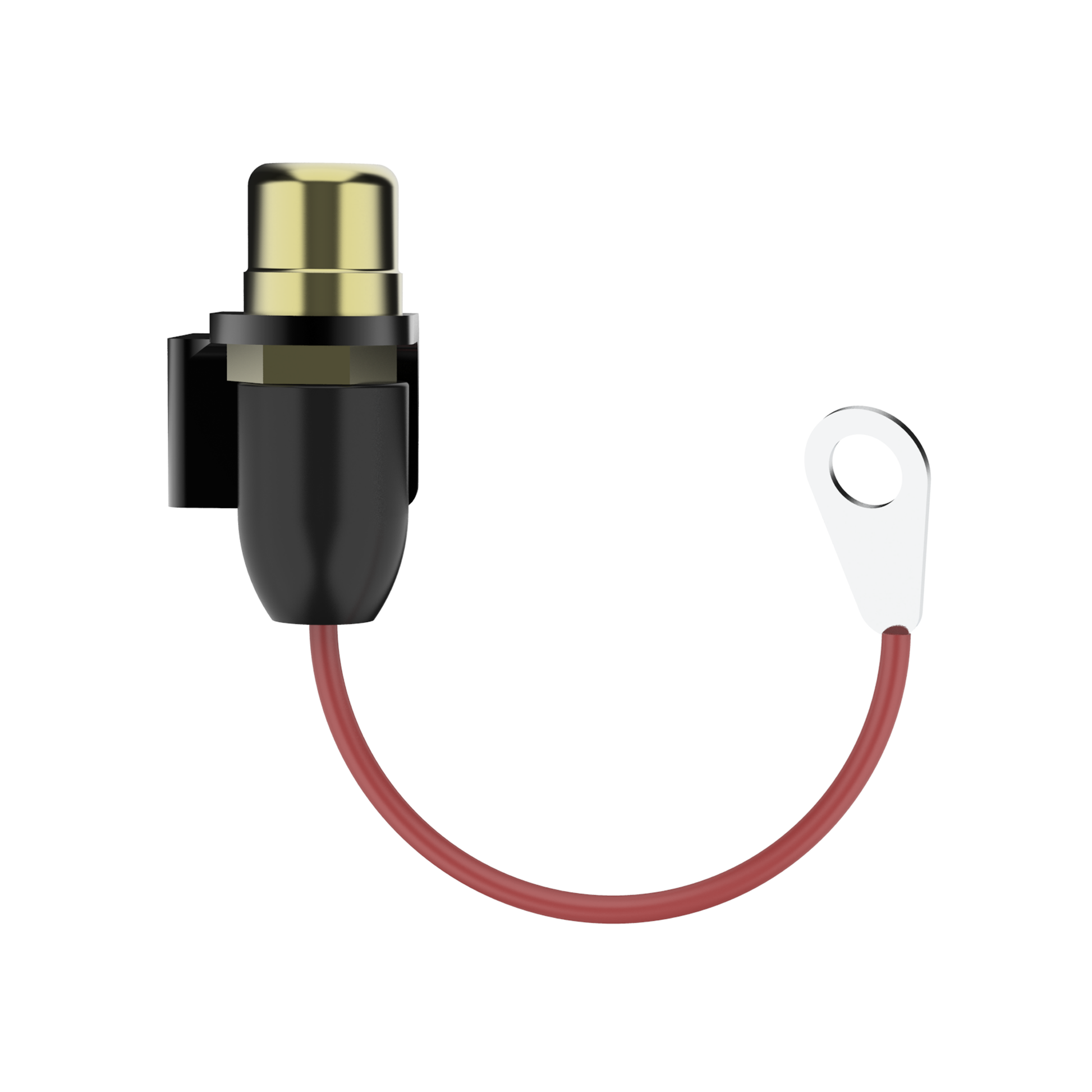 Eikon RCA Adaptor