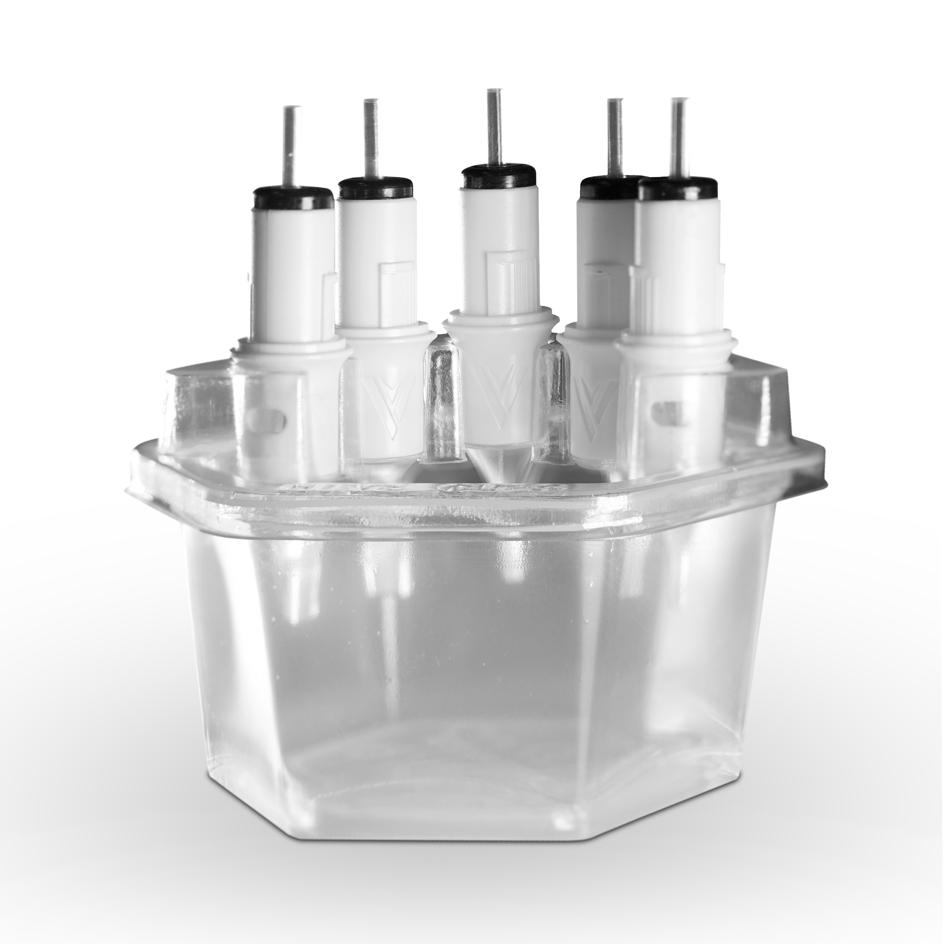 HIVE CUPS