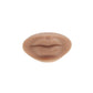 A Pound of Flesh PMU Practice Lips and Piercing Body Bit — Fitzpatrick Tone 4