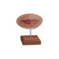 A Pound of Flesh PMU Practice Lips and Piercing Body Bit — Fitzpatrick Tone 4