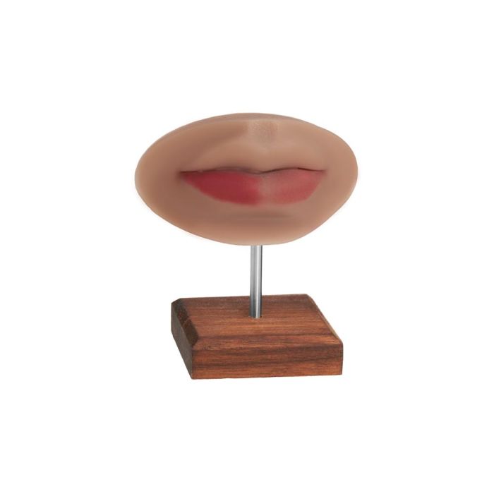 A Pound of Flesh PMU Practice Lips and Piercing Body Bit — Fitzpatrick Tone 4
