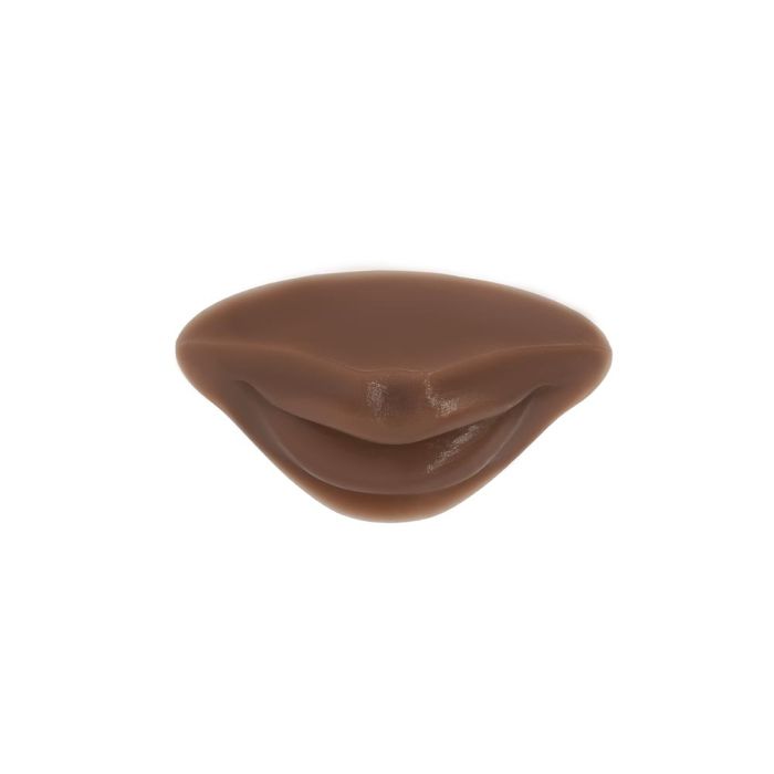 A Pound of Flesh PMU Practice Lips and Piercing Body Bit — Fitzpatrick Tone 5