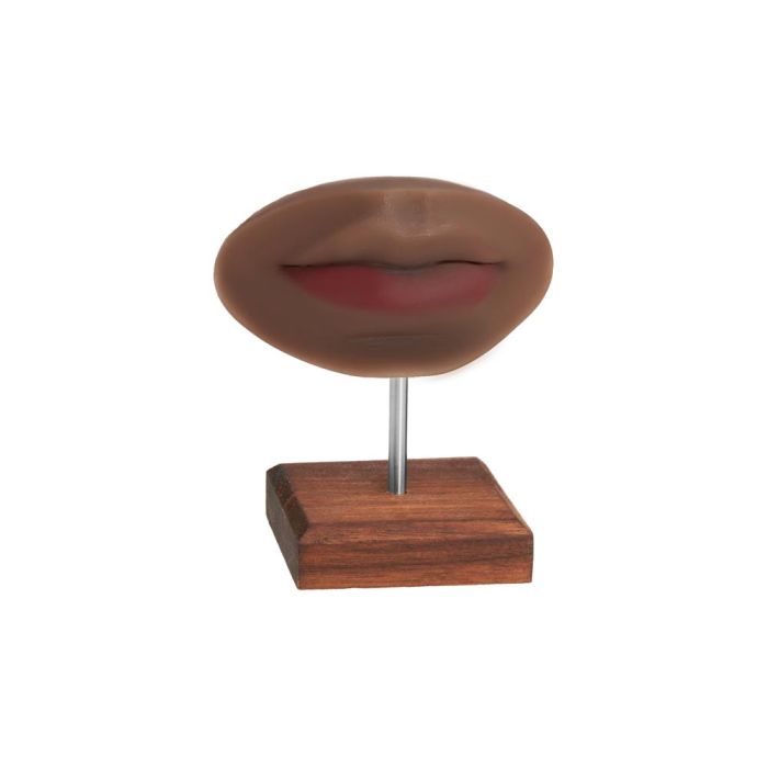 A Pound of Flesh PMU Practice Lips and Piercing Body Bit — Fitzpatrick Tone 5