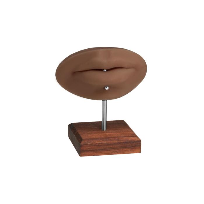 A Pound of Flesh PMU Practice Lips and Piercing Body Bit — Fitzpatrick Tone 5