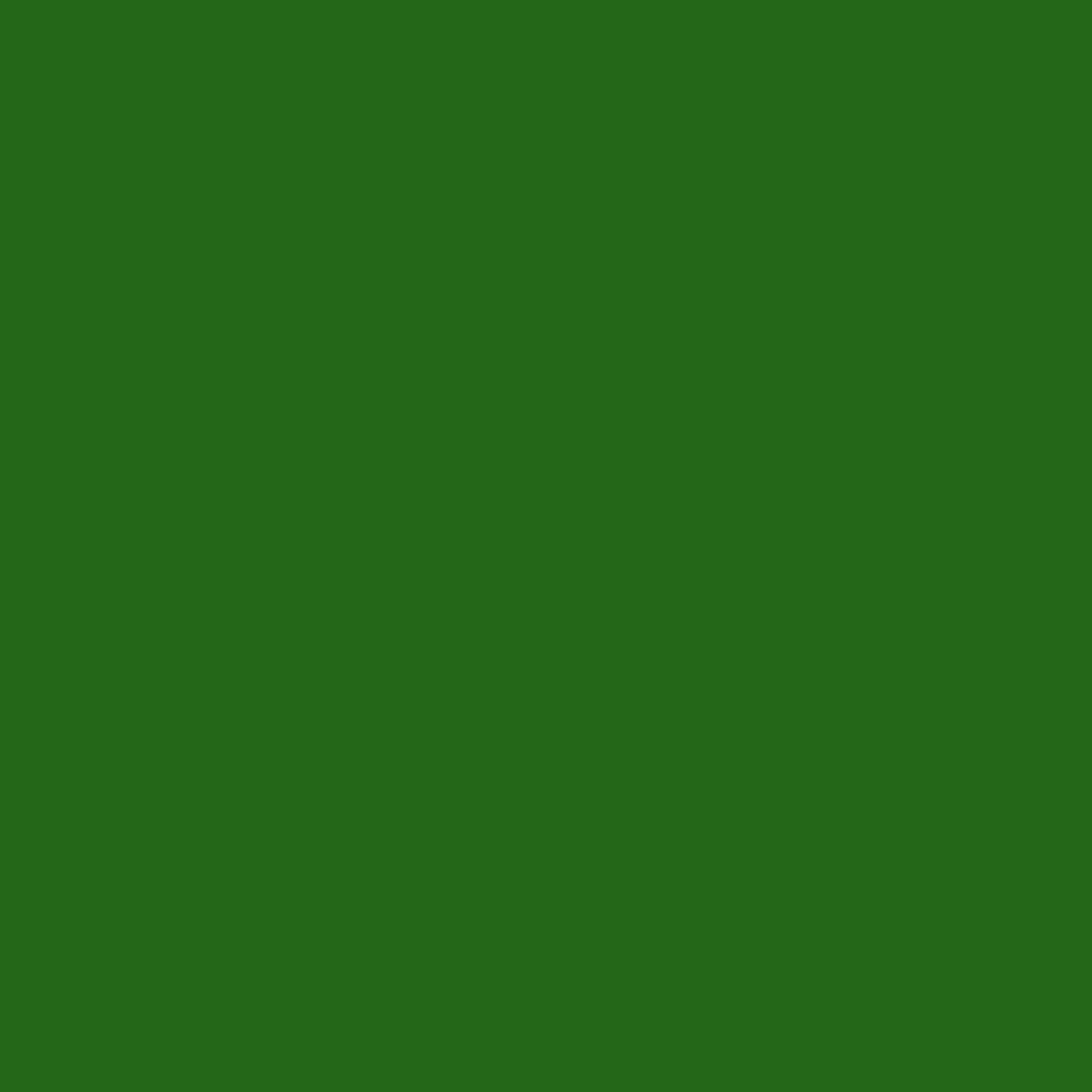 Everglades Green | World Famous Tattoo Ink